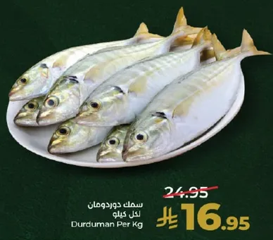 سمك دوردومان لكل كيلو