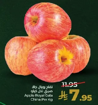 تفاح رويال جالا صيني لكل كيلو