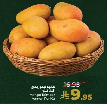 مانجو تيمور يمني لكل كيلو