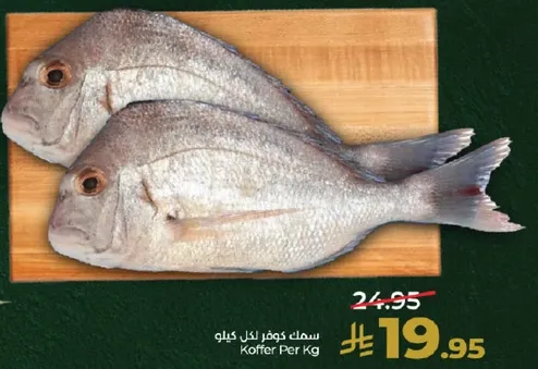 سمك كوفر لكل كيلو.