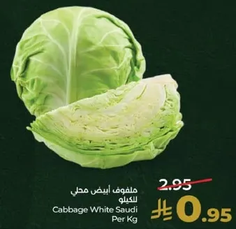 ملفوف ابيض محلي