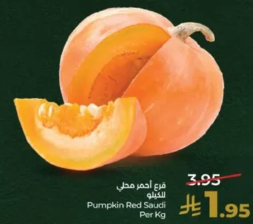 قرع احمر سعودي