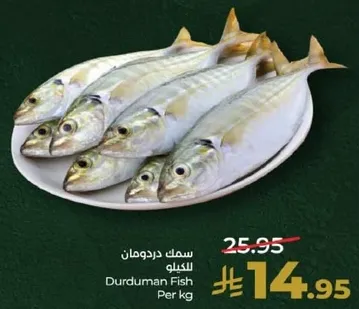 سمك دردومان للكيلو