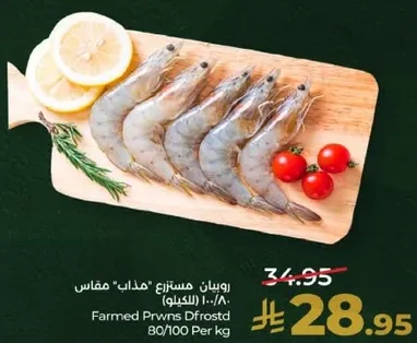 روبيان مستزرع "مذاب" مقاس 80/100