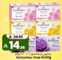صابون انشانتور 6 × 120 غرام