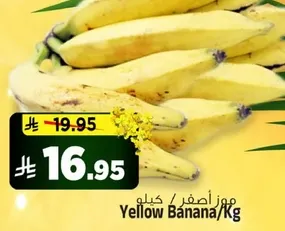 موز اصفر/كغ