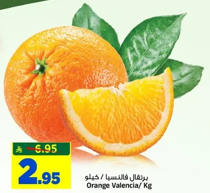 برتقال فالنسيا / كيلو