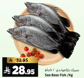 سمك باراموندي / كيلو