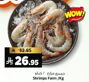 جمبري مزراع / كيلو