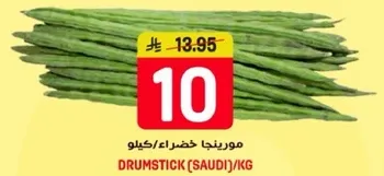 مورنغا خضراء/كيلو