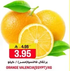 برتقال فالنسيا (مصر) / كيلو