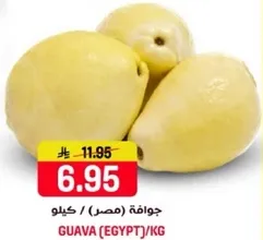 جوافه (مصر) / كيلو