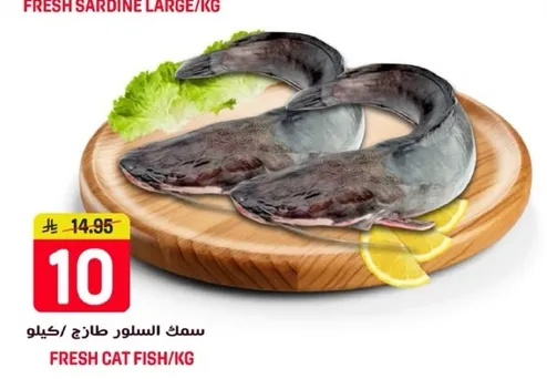 سمك السلور طازج/كيلو