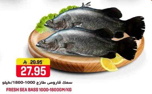 سمك قاروص طازج 1000-1800 جرام/كيلو