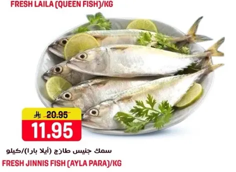 سمك جنيس طازج (ايلا بارا) / كيلو