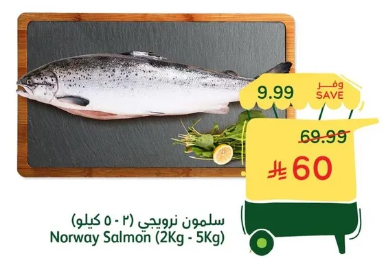 Norway Salmon (2Kg - 5Kg)