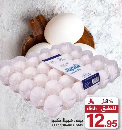 بيض شهيلا الكبير