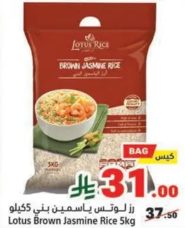 رز لوتس ياسمين بني 5 كيلو