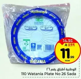 110 طبق وطنيه رقم 26 ساده