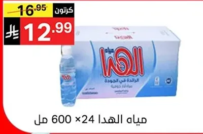 مياه، 600 مل × 24 زجاجه.