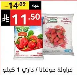 فراوله مونتانا / داري 1 كيلو