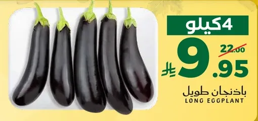 باذنجان طويل
