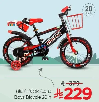 Boys Bicycle 20in