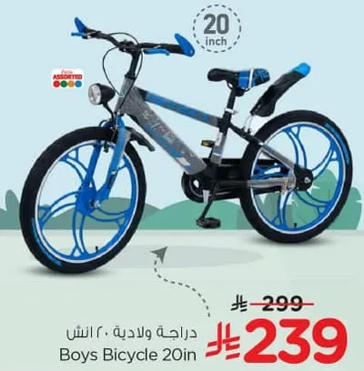 Boys Bicycle 20in