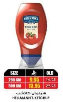 Hellmann's Tomato Ketchup