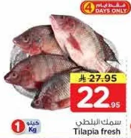 سمك البلطي الطازج.