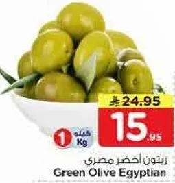 زيتون اخضر مصري
