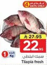 سمك البلطي الطازج.