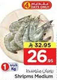 روبيان متوسط