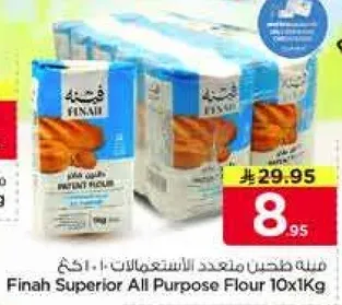 دقيق فاين الشامل 10×1 كغ