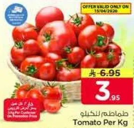 طماطم للكجم