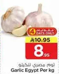 ثوم مصري للكيلو