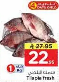 سمك البلطي الطازج.