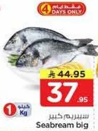 سيبريم كبير