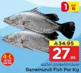 سمك باراموندي بالكيلو