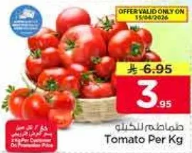 طماطم للكجم