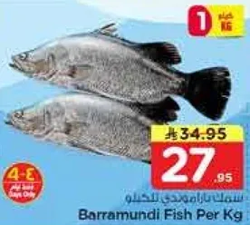 سمك الباراموندي لكل كيلو