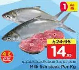 سمك الحليب ستيك لكل كيلو