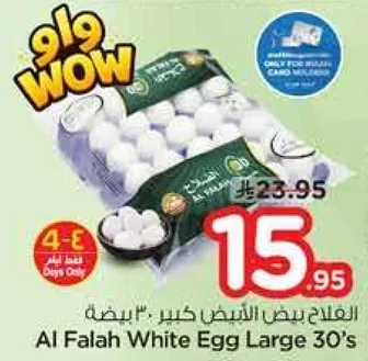 Al Falah White Egg Large 30's