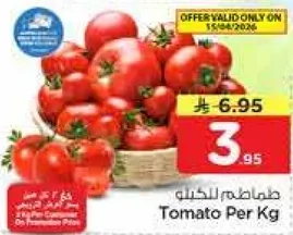 طماطم للكجم