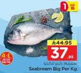 سمك سيبريم كبير لكل كيلو