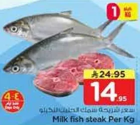 سعر الفلورسيه سمك الحليب للكغ