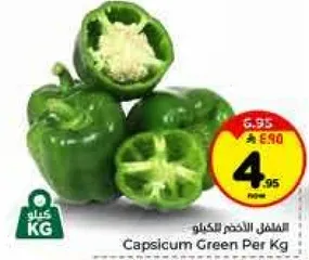 الفلفل الاخضر بالكيلو