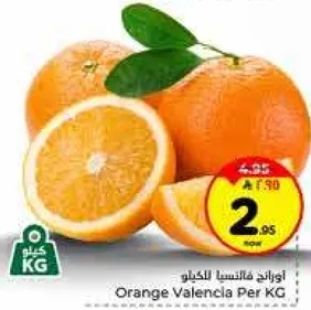 برتقال فالنسيا للكغ