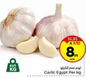 ثوم مصر الكيلو