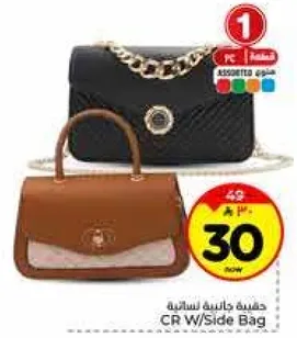 حقيبه جانيه نساييه.